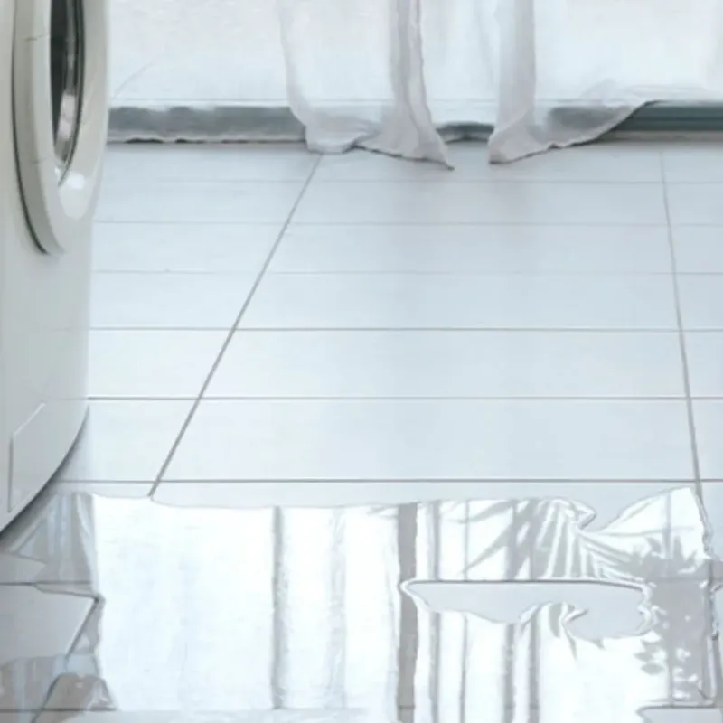 Appliance Leak Cleanup in Saluda, SC
