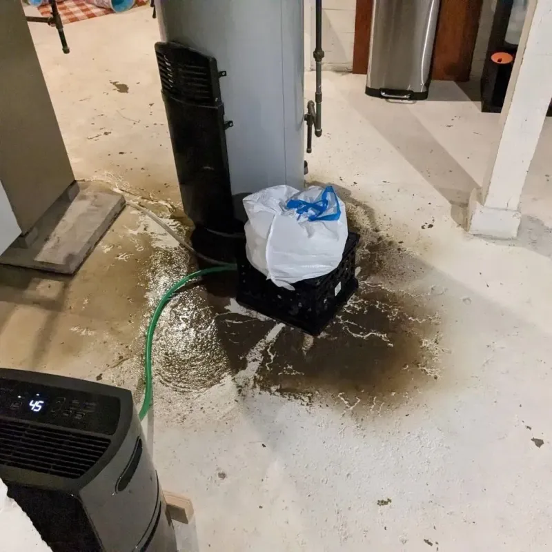 Sewage Backup Cleanup Service in Saluda, SC
